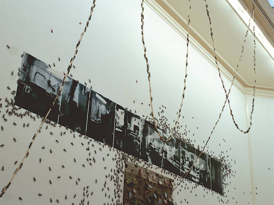 Construction of a Place and Ants, 1998<br/>Mixed media