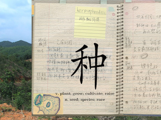 Keywords Laboratory: Social Botany, about “seeds, bloodline and anxiety about filial piety” and about “endurance and animalistic freedom”,<br/>2012–2015